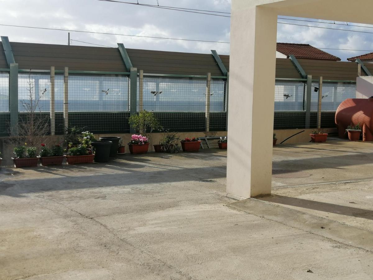 Il Corallo Azzurro Reggio di Calabria Exteriör bild
